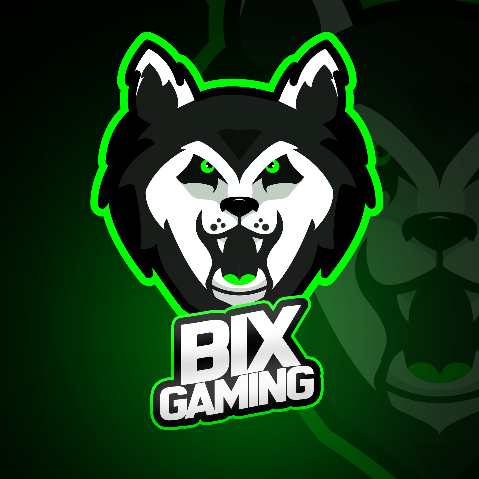 BIX_GAMING